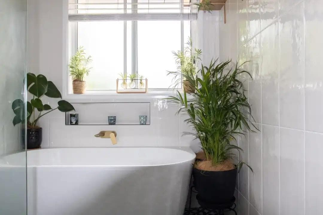 Experience New Living with Canberra Interior Designers — photo 1